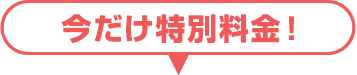 今だけ特別料金